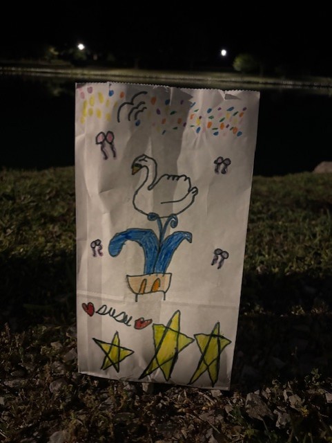 Darlington Light the Lake event photo